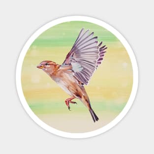 Magical House Sparrow painting Magnet